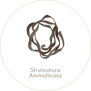 Struncatura Ammollicata - Shape