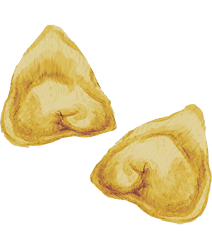 Pasta-Tortelloni