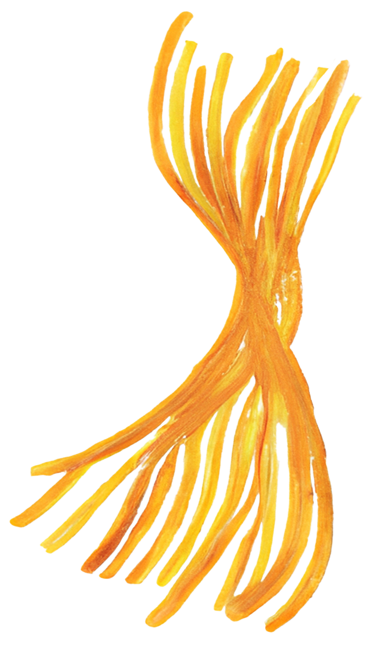 Pasta-Bigoli