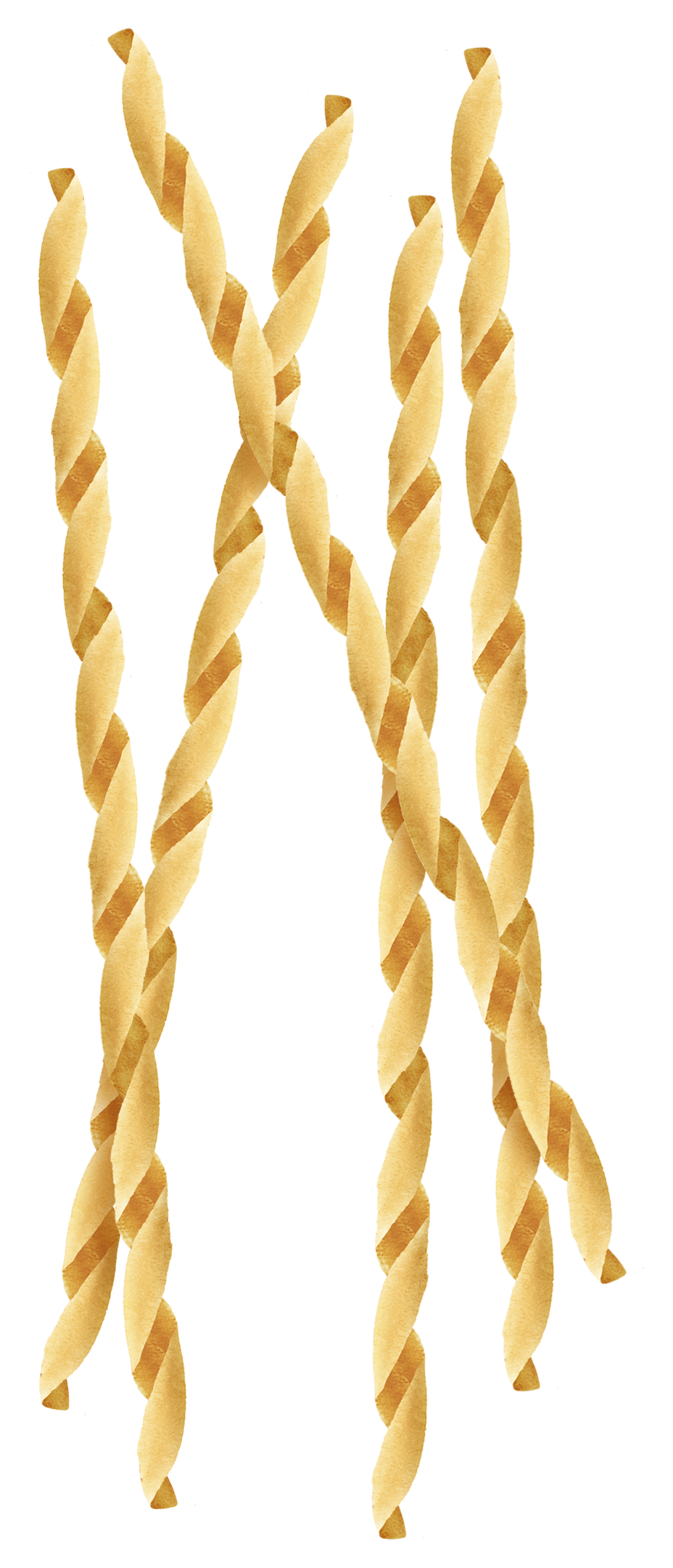 Pasta-Sagne Illustration of Sagne 'ncannulate